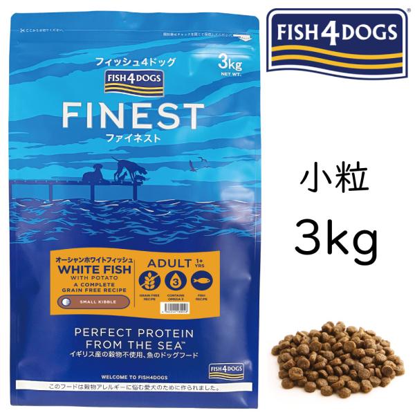 新作人気モデル フィッシュ4 オーシャンホワイトフィッシュ 15kg zlote