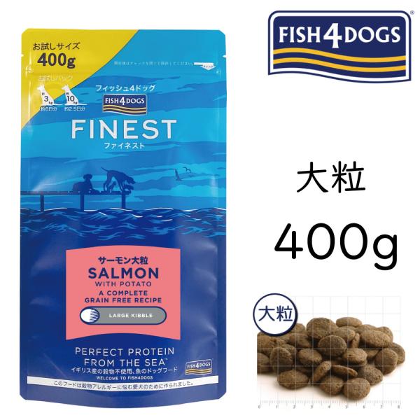 Nkt tBbVShbO t[h T[ A_g嗱 400g  TCY hC ^p̐lC ỸybgpiŌNȐH