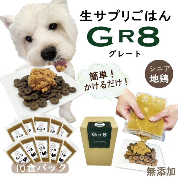 Tvg͂GR8`O[g`VjAEn{ 10܃Zbg X˂̃VjAɑ؂ȉh{y  Nkt  ybgpi N