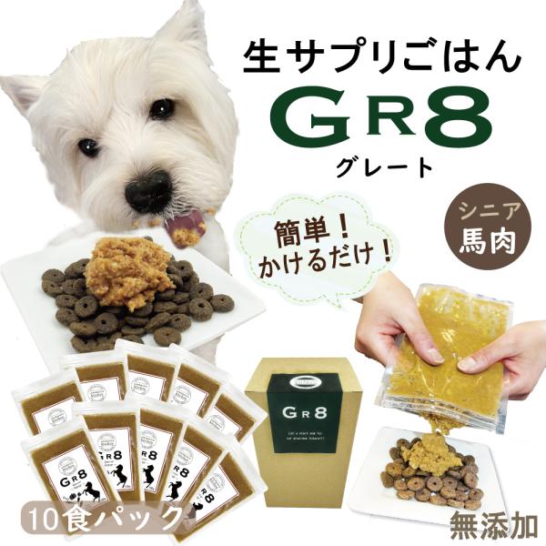 Tvg͂GR8`O[g`VjAEn 10܃Zbg X˂ VjAɑ؂ȉh{y  Nkt  ybgpi N