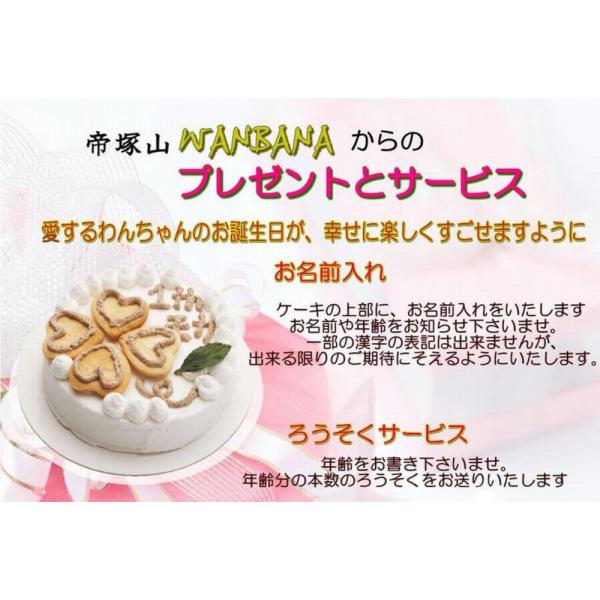 犬用 ケーキ ハッピークローバー5号サイズささみ入り 無添加 お誕生日 おやつ プレゼント 人気 鶏肉 野菜 ナチュラル 帝塚山 Wanbana Buyee Buyee Japanese Proxy Service Buy From Japan Bot Online