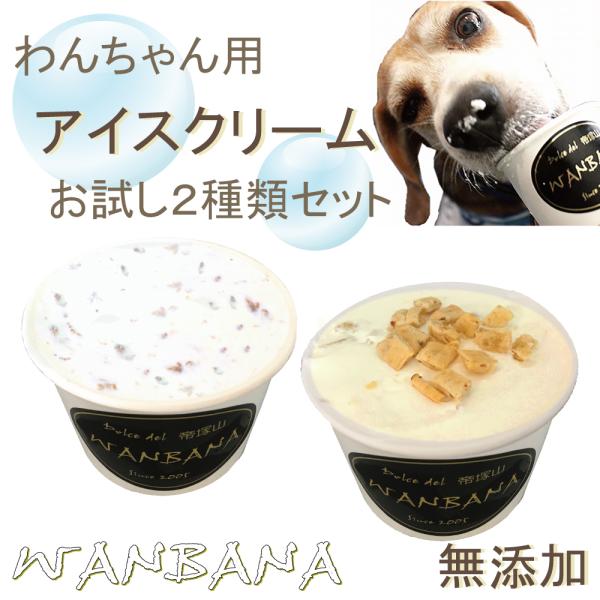  pACXЂ肤܂܁In`bvƃNbL[N[ 2ރZbg  Mǂăoe΍ ̉߂   YY oi