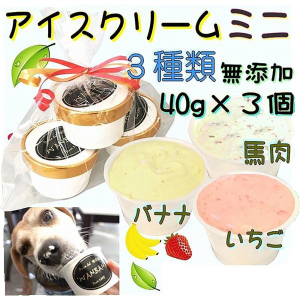 犬用のアイス クリーム 無添加 ミニ果物 いちご バナナ と 馬肉 3種類 セット 熱中症 夏バテ 対策 小型犬用の超小型犬用のおやつ 帝塚山wanbana ワンバナ Miniice4set 犬猫用ケーキおやつ帝塚山ワンバナ 通販 Yahoo ショッピング