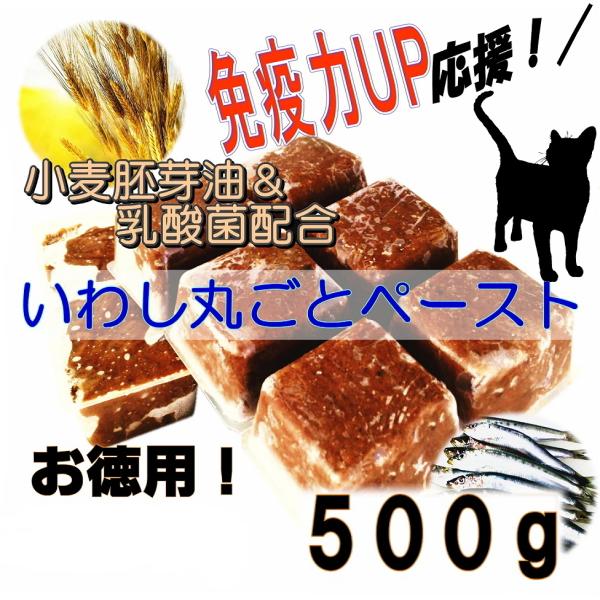 トレー 手作り - ペットの人気商品・通販・価格比較 - 価格.com トレー 手作り - ペットの人気商品・通販・価格比較 - 価格.com