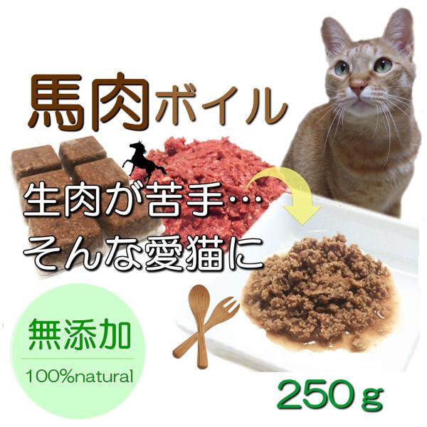 Lp̌p n {C p 250 TCY M Ⓚ gbsO lC t[h hbO Lbg ỸybgpiŌNȐH