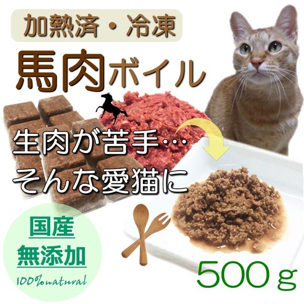 Lp̌p n {C 500g 250g×2 TCY M Ⓚ gbsO lC t[h hbO Lbg ỸybgpiŌNȐH