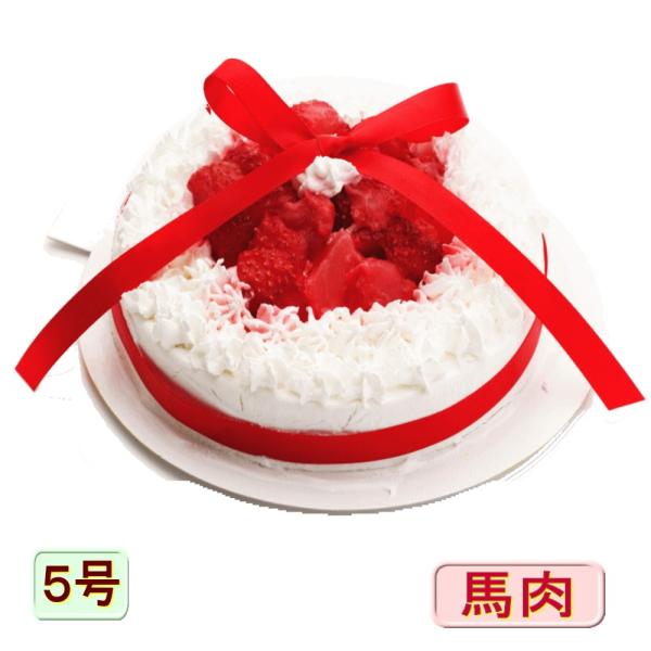 犬用 ケーキ スイートメモリー5号馬肉入り お誕生日 無添加 おやつ プレゼント アレルギー 人気 いちご ホール 帝塚山 Wanbana Buyee Buyee 日本の通販商品 オークションの代理入札 代理購入