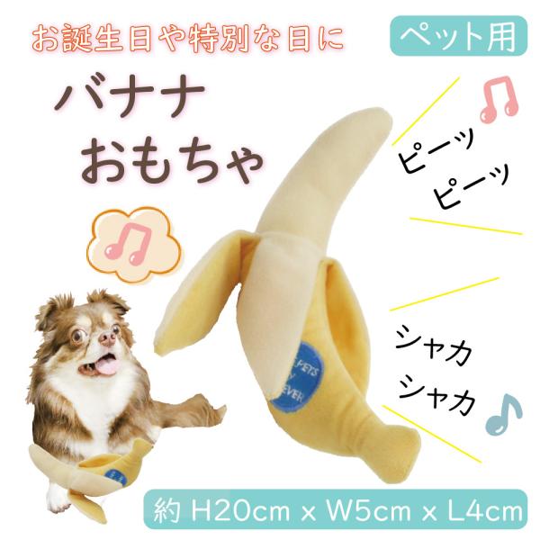 ybgpgC 킢ʂ oii lR񂪍Dȃs[s[EJVJVቹ邨 Mtgt[h av[g