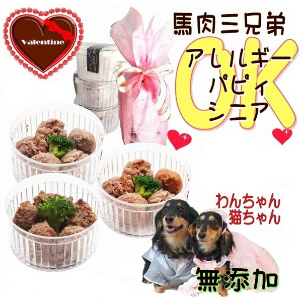 犬用 バレンタインデー プレゼント 馬肉団子 3兄弟 無添加 人気 ギフト おやつ ディナー ごちそう ラッピング 無料 お得 帝塚山wanbana 6480円以上送料無料 Buyee Buyee 提供一站式最全面最專業現地yahoo Japan拍賣代bid代拍代購服務 Bot Online