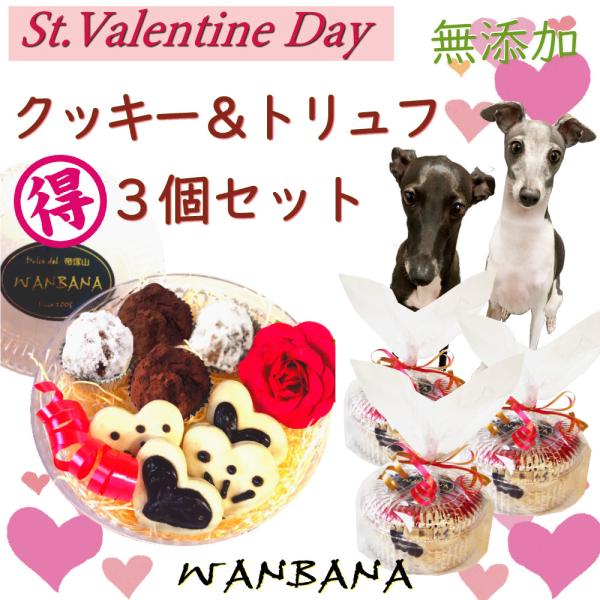 Ipo^CY ԐlCINbL[gt 3܂Ƃߔ LLql lCMtg K  ߕbƂꏏɃoi