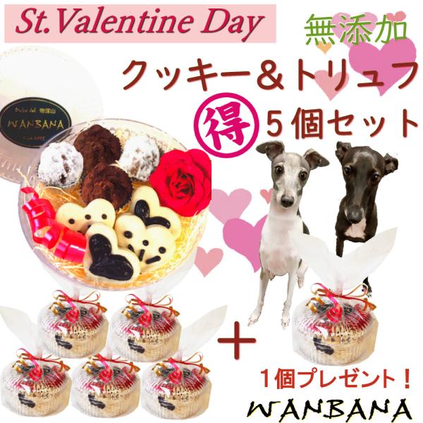 Ipo^CY ԐlCINbL[gt 5+1܂ LLql lCMtgK  ߕbƂꏏɃoi