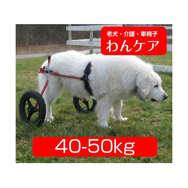 K-9カスタム犬用車椅子(2輪) 体重40.1〜50kg用
