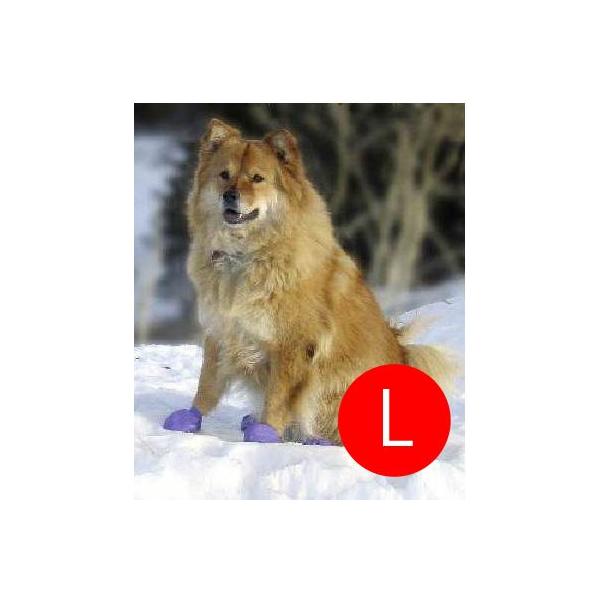 ラバー・ブーツ　L (パープル） 12足セッ