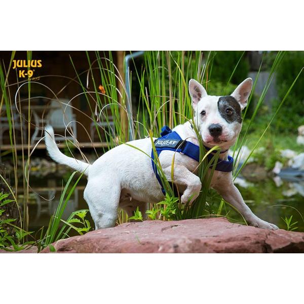 測定方法ハーネスのサイズを選ぶために愛犬を測定することは、大変重要です。サイズ０〜４の場合は、前足の後ろから指4本分離れた部分の胴回りを計測してください。ご注意大きすぎるハーネスを選ぶことは、ハーネスの調整が正しくないときと同様に、ハーネス...