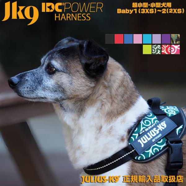 K９　各種3枚＋α JK9 Street harness (ストリートハーネス) 小型犬用 | ハーネス