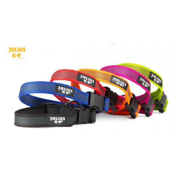 世界25カ国以上で愛されている【Julius-K9】カラー（首輪）         シンプルかつ実用的なcolor&amp;gray collar（首輪）登場！      色はレッド・ブラック・ピンク・ブルー・オレンジ・ネオンの6色よりお選...