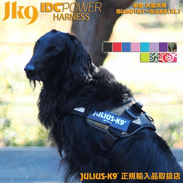 wanderstudio_julius-size wanderstudio_julius-size