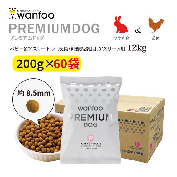 wanfoo-official_p253