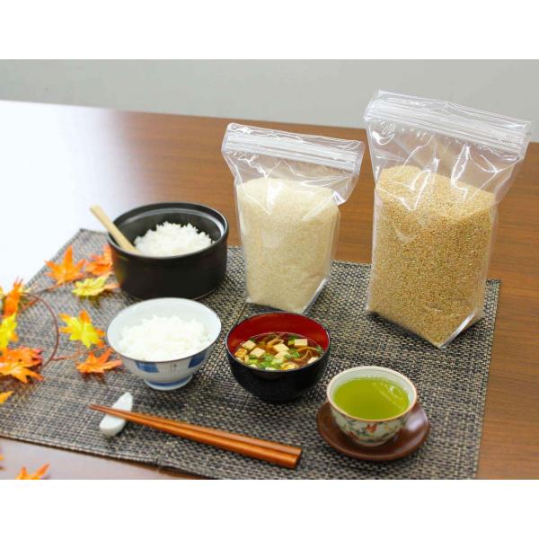 ラミジップ LZBS 袋