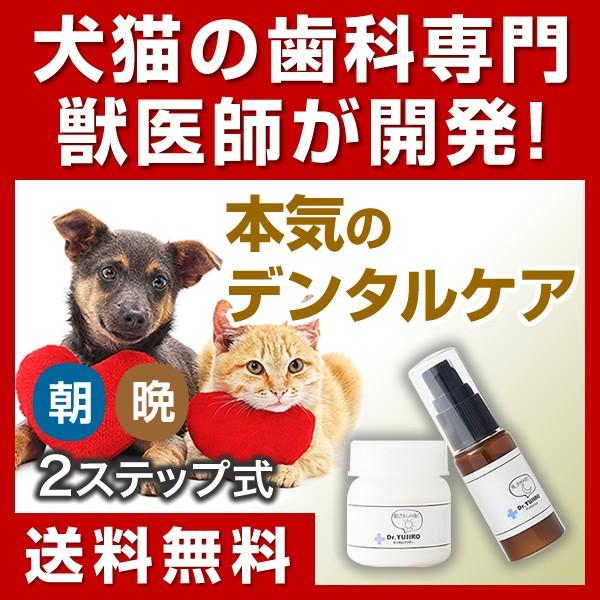犬猫のデンタルケア Dr.YUJIRO パーフェクトセット 約3カ月分 3000頭 