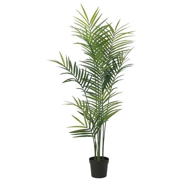 IKEA フェイカ　ケンチャヤシ　23㎝ イケア（IKEA） 【IKEA】FEJKA フェイカ 人工観葉植物, 室内/屋外用