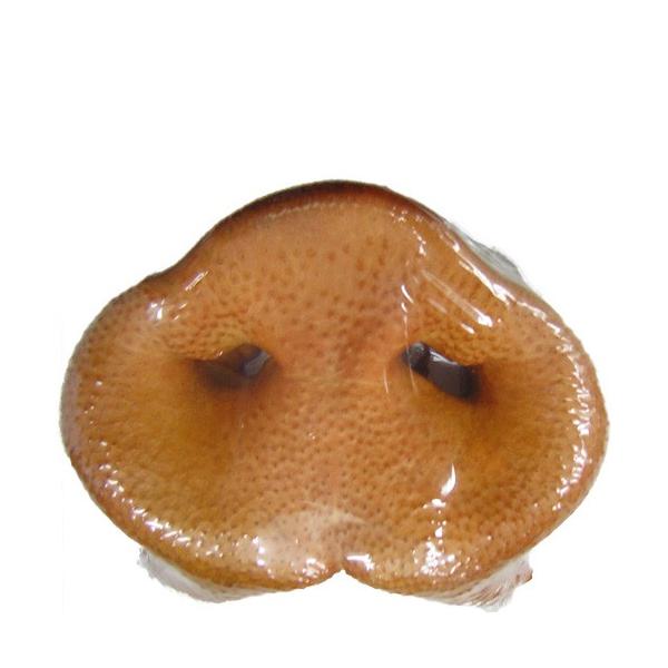 コジマ 豚鼻 : ペットの専門店コジマ - 通販 - Yahoo!ショッピング