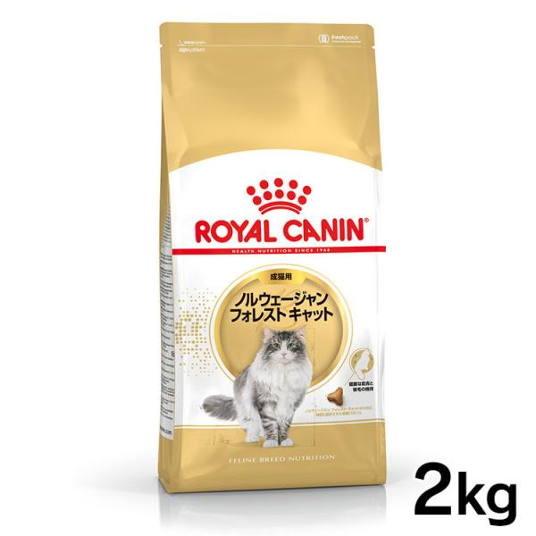 CANIN ノルウェージャンフォレストキャット 2kg×2 wannyan_7068111