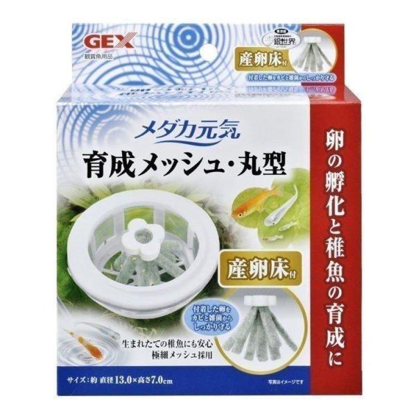 他サイト： アクア メダカ めだか 観賞魚 産卵床 育成ネット 繁殖 孵化 飼育 ジェックス GEX メダカ元気育成メッシュ丸型産卵床付の商品画像