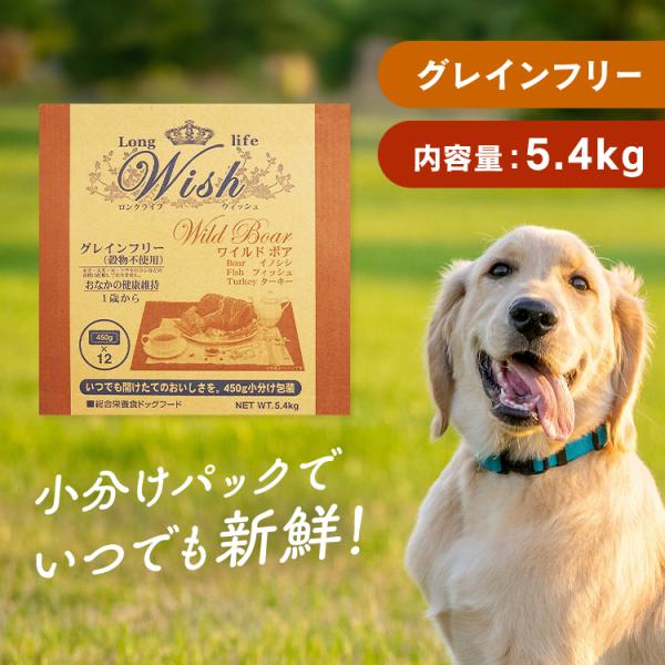 ウィッシュ ドッグフード Wish ワイルドボア おなかの健康維持 1歳から 5.4kg