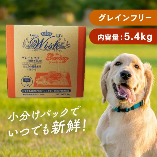犬 フード ウィッシュ ターキー 5.4kg パーパス ドライ 成犬 ノン