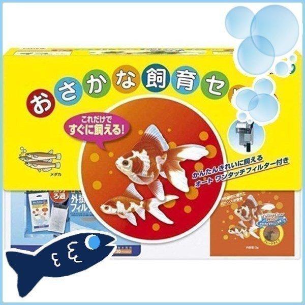アクア テトラ おさかな飼育セット (水槽容量 10L) PL-32OS