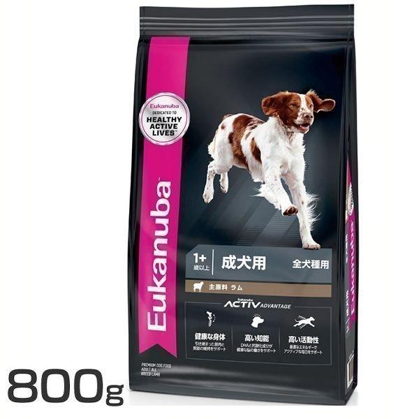  t[h v~At[h hbOt[h S p Eukanuba 1Έȏ &amp;amp;CX hCt[h [Jko A_g &amp;amp;CX 800g