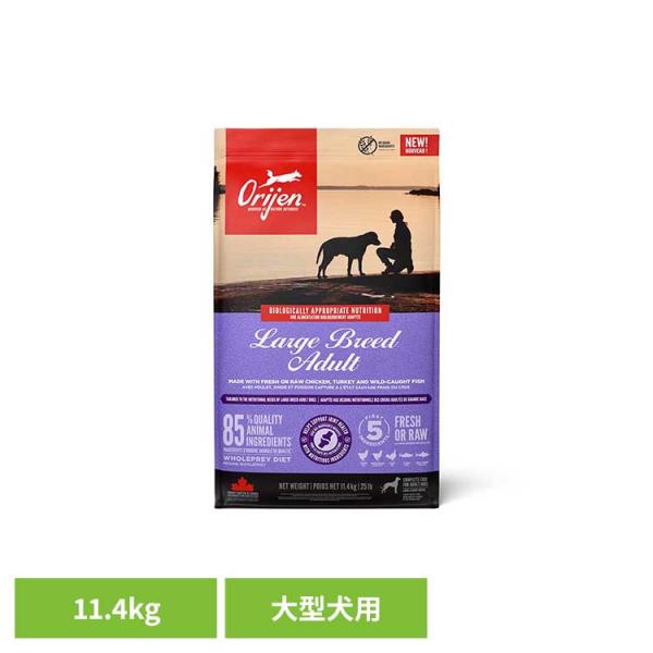 ORIJEN（オリジン） ドッグフード ラージブリードアダルト 11.4kg 全犬