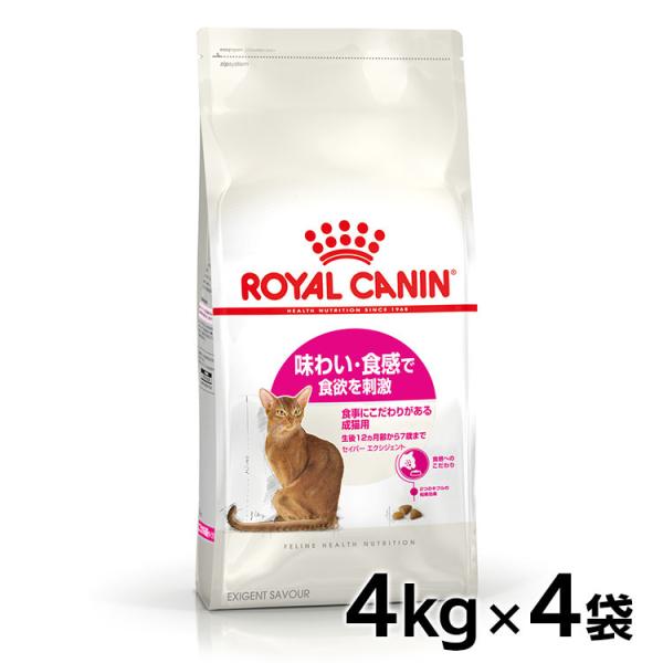 CJi L  ZCo[ GNVWFg 4kg 4Zbg  Lbgt[h Lp t[h L