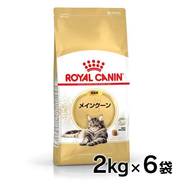  CANIN メインクーン ドライフード 2kg×2袋 ロイヤルカナン（ROYAL CANIN） 猫 メインクーン 2kg 6個セット