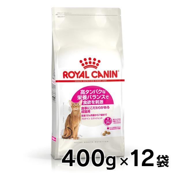 CJi L  veC GNVWFg 400g 12Zbg  Lbgt[h Lp t[h L