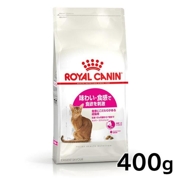 harutenchoo ロイヤルカナン メインクーン キャットフード Amazon | ロイヤルカナン FBN メインクーン 成猫用 2kg | ROYAL