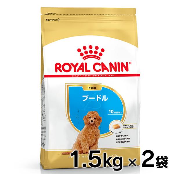  CANIN トイプードル　成犬用　3kg×2袋 ブリード ヘルス ニュートリション 【3kg×2袋】ロイヤルカナン