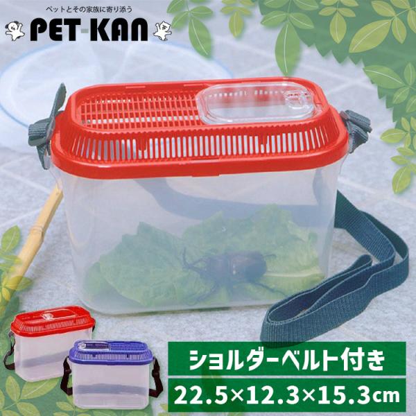 虫かご　飼育ケース　内箱付 楽天市場】虫かご 虫篭 虫籠 飼育ケース 昆虫 虫かご 飼育ランド