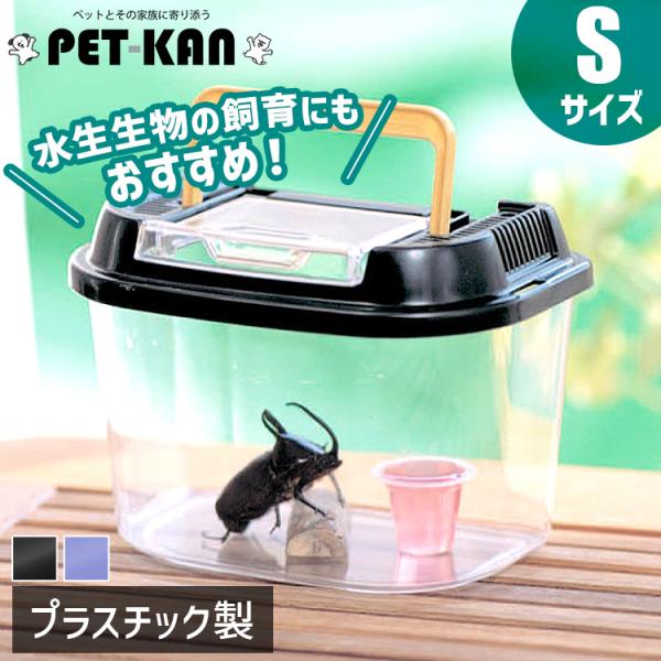 ★新品未使用品‼️オータニ昆虫館SEMI ・セミ★入手難※希少★ ☆新品未使用品‼️オータニ昆虫館SEMI ・セミ☆入手難※希少