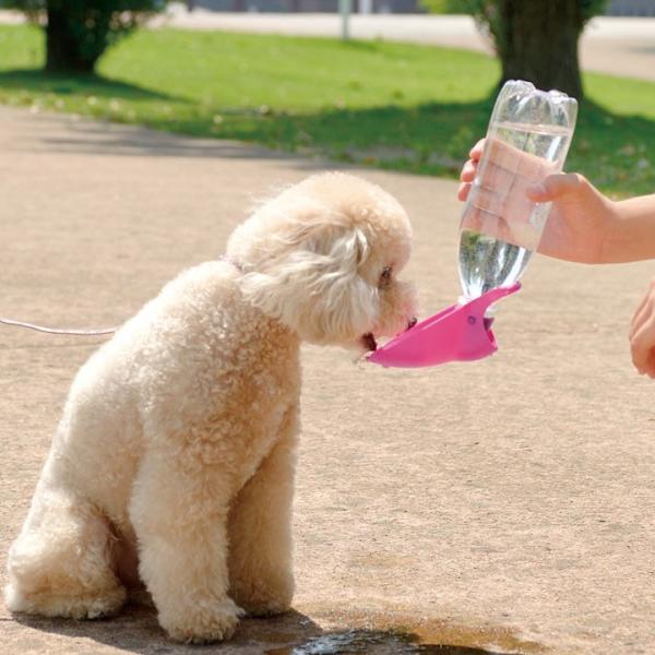 リッチェル お散歩ハンディシャワー 犬 散歩 おでかけ おしっこ跡のマナー洗浄 お散歩中の水分補給 Buyee Buyee 提供一站式最全面最專業現地yahoo Japan拍賣代bid代拍代購服務 Bot Online