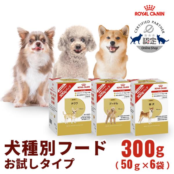 ロイヤルカナン　 CANIN 柴犬用ドライフード 16kg 柴犬 専用フード 子犬用 – 【ロイヤルカナン公式通販】