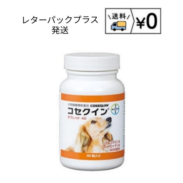 コセクインタブレット　40粒