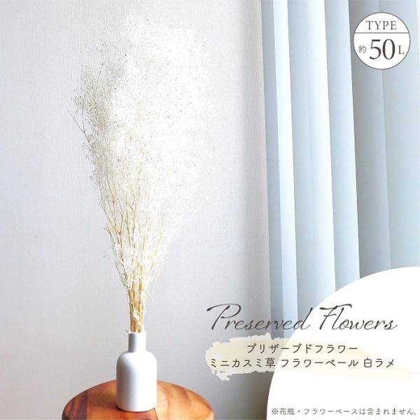 ■ 商品情報 ■アレンジメントのアクセントとして人気の高い花種で、白い小さな花が霞のような、白く清廉な雰囲気が魅力のカスミ草にキラキラとしたラメ加工を施したプリザーブドフラワーです。世界の産地より生花を仕入れされ、国内工場で加工していますの...