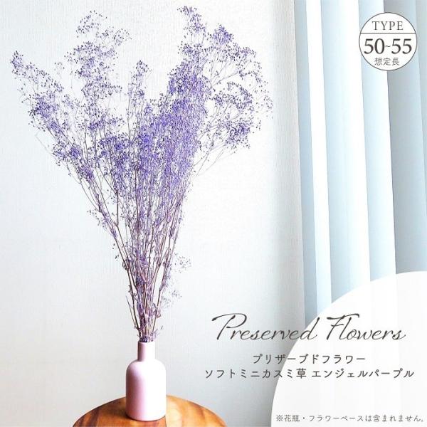 ■ 商品情報 ■アレンジメントのアクセントとして人気の高い花種、パープルカラーのカスミ草のプリザーブドフラワーです。フェミニンな色調はウェディングシーンのアレンジメントにもピッタリ。やわらかな質感でアレンジを繊細に仕上げます。アレンジメント...