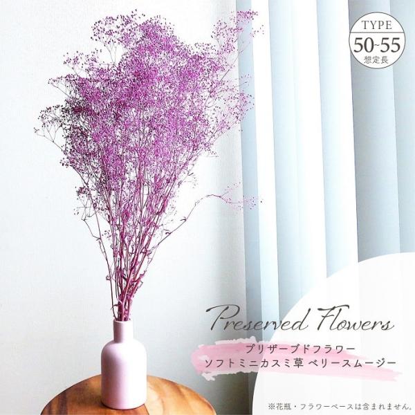 ドライフラワー プリザーブドフラワー ソフトミニカスミ草 ベリー