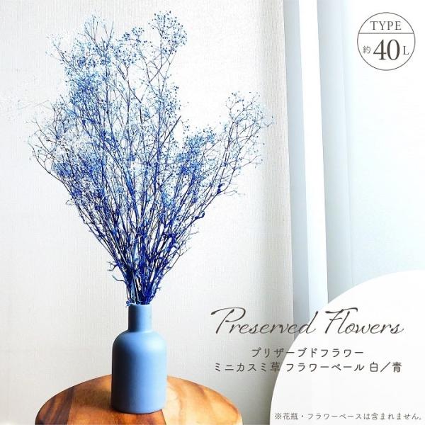 ■ 商品情報 ■アレンジメントのアクセントとして人気の高い花種、鮮やかな青色に名前の通り霞がかった白色が華やかさを際立たせるミックスカラーのプリザーブドフラワーが新登場。アレンジメントにボリュームを出したいとき、ウェディングシーンのアレンジ...