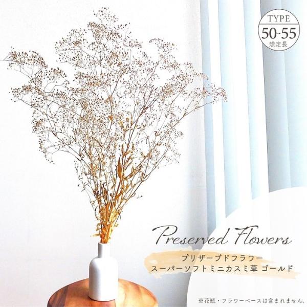 ■ 商品情報 ■アレンジメントのアクセントとして人気の高い花種、カスミ草にプリザーブド加工後に更にゴールド加工した豪華な仕上りのプリザーブドフラワーが新登場。煌びやかで華やかなシーンの演出におすすめ。世界の産地より生花を仕入れされ、国内工場...