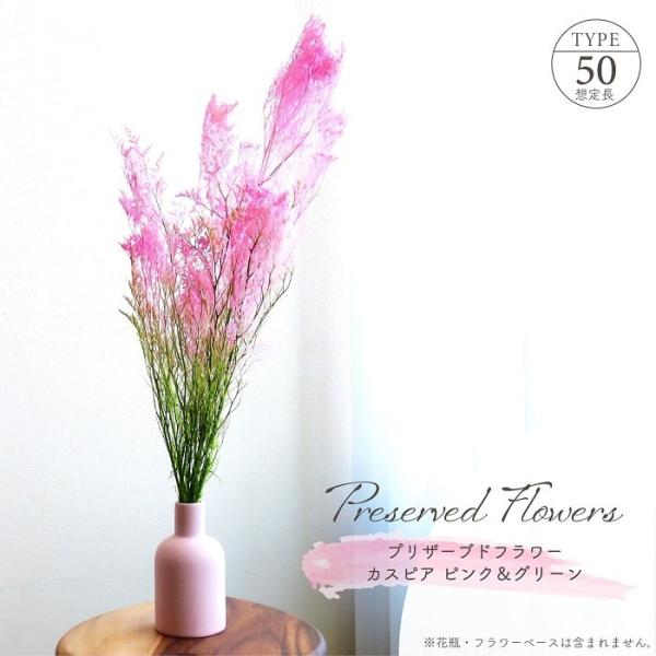 ■ 商品情報 ■穂先に向かって花開くように広がる、形状が特徴の「カスピア」、ふわっと優しい雰囲気のプリザーブドフラワー。咲き誇るピンクの花々、グリーンならではのナチュラルな印象が甘いムードを抑え、美しいグラデーションを生み出している。アレン...
