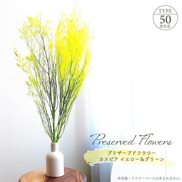 ■ 商品情報 ■穂先に向かって花開くように広がる、形状が特徴の「カスピア」、ふわっと優しい雰囲気のプリザーブドフラワー。視認性の高いイエローはアクセントカラーに。華やかな雰囲気の中に溶け込むようなグリーとの一体感が魅力的。アレンジ方法も様々...